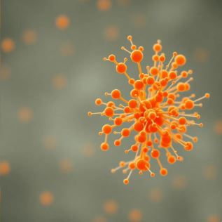 Система управления качеством в медицинской лаборатории