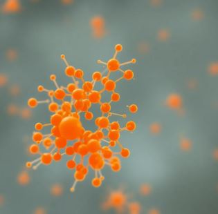 Лабораторная диагностика иммунных нарушений