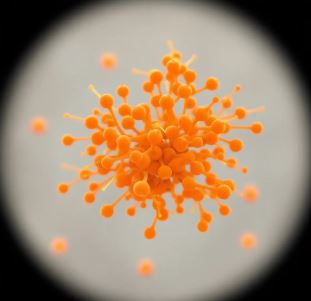 Основные положения и особенности применения ПП РФ 1875 от 23.12.2024 г.