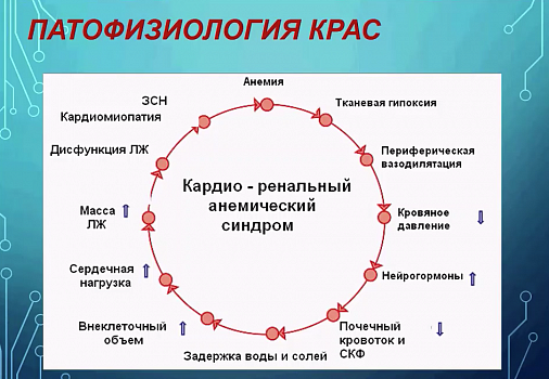 Метаболизм железа. Лабораторная диагностика его нарушений Метаболизм железа. Лабораторная диагностика его нарушений