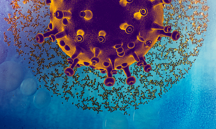 Интерлейкин-6, прокальцитонин и соотношение нейтрофилов к лимфоцитам: потенциальные иммуновоспалительные параметры для выявления тяжелых и смертельных форм COVID-19