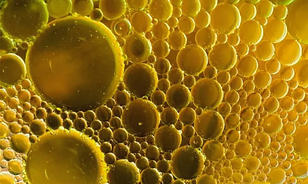 Вебинар Сергиенко И.В.