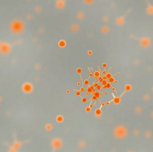 Лабораторный скрининг в лаборатории: колоректальный рак