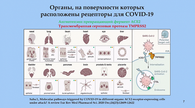 Осложнения COVID-19: механизмы, биомаркеры, экспресс-диагностика Осложнения COVID-19: механизмы, биомаркеры, экспресс-диагностика