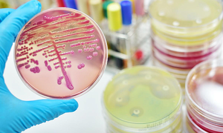 «ДИАКОН» в центре научной дискуссии в Оренбурге